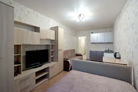 1-комнатная квартира в Томске, Большая Подгорная ул., 87