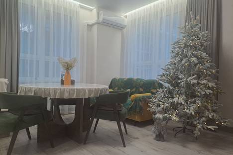 Однокомнатная квартира в аренду посуточно в Нижнем Новгороде по адресу 2-я Оранжерейная ул., 4Ак2