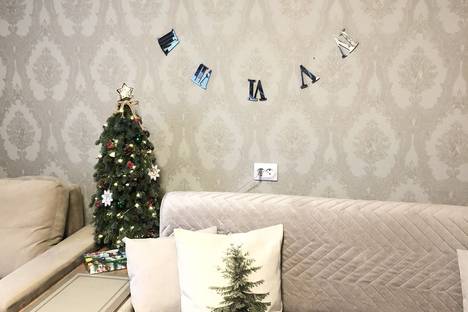 2-комнатная квартира в Нижнем Новгороде, б-р Мира, 10