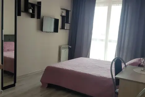 1-комнатная квартира в Иркутске, Иркутск, ул. Пискунова, 148/4