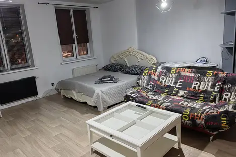 1-комнатная квартира в Красноярске, Красноярск, ул. Петра Ломако, 14