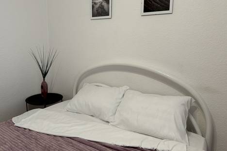 1-комнатная квартира в Екатеринбурге, Екатеринбург, ул. Николая Островского, 1