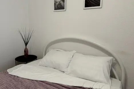 1-комнатная квартира в Екатеринбурге, ул. Николая Островского, 1