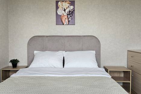 2-комнатная квартира в Екатеринбурге, Екатеринбург, ул. Серафимы Дерябиной, 17