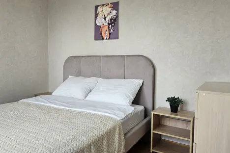 2-комнатная квартира в Екатеринбурге, ул. Серафимы Дерябиной, 17