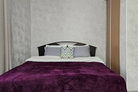 1-комнатная квартира в Екатеринбурге, Екатеринбург, Красноуральская ул., 21