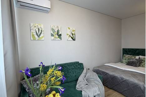 1-комнатная квартира в Краснодаре, Домбайская ул., 55к6