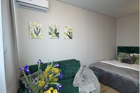 1-комнатная квартира в Краснодаре, Домбайская ул., 55к6