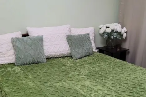 1-комнатная квартира в Иркутске, ул. Александра Невского, 99/4