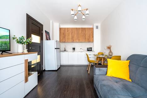 1-комнатная квартира в Санкт-Петербурге, пр-кт Будённого, 23к1