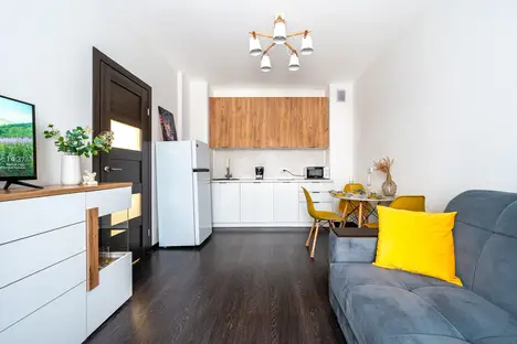 1-комнатная квартира в Санкт-Петербурге, Санкт-Петербург, пр-кт Будённого, 23к1