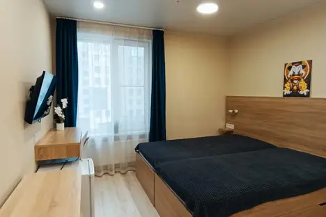 1-комнатная квартира в Санкт-Петербурге, ул. Матроса Железняка, 2