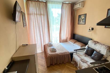 1-комнатная квартира в Сочи, Курортный пр-кт, 75к1