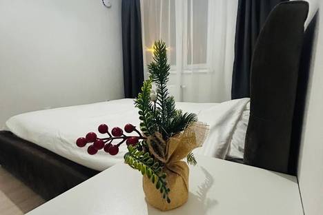 1-комнатная квартира в Екатеринбурге, Екатеринбург, ул. Щербакова, 145В