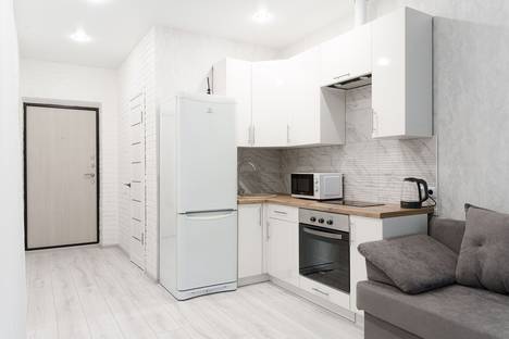 1-комнатная квартира в Минске, Минск, ул. Игоря Лученка, 29