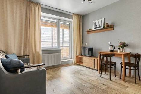 1-комнатная квартира в Мурино, ул. Шувалова, 14