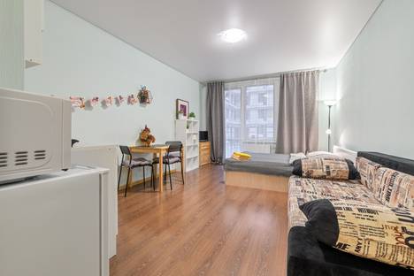 1-комнатная квартира в Санкт-Петербурге, Санкт-Петербург, б-р Александра Грина, 1