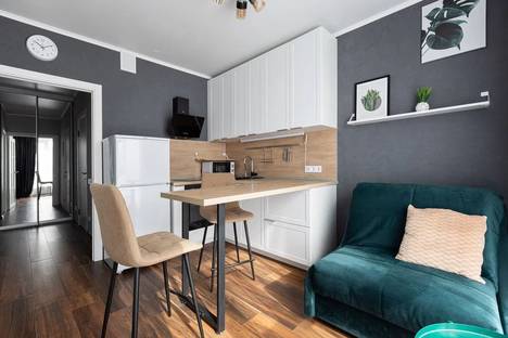 Однокомнатная квартира в аренду посуточно в Санкт-Петербурге по адресу Лиговский пр-кт, 271