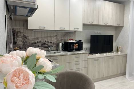 1-комнатная квартира в Ульяновске, Ульяновск, ул. Карбышева, 44