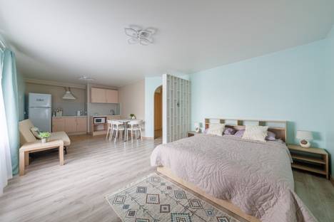 1-комнатная квартира в Санкт-Петербурге, Фермское ш., 32