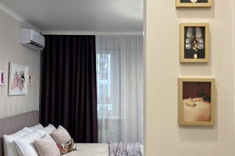 1-комнатная квартира в Краснодаре, Колхозная ул., 5/2к4