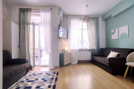 1-комнатная квартира в Дагомысе, Дагомыс, Старошоссейная ул., 5к2