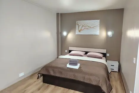 1-комнатная квартира в Санкт-Петербурге, Фермское ш., 32