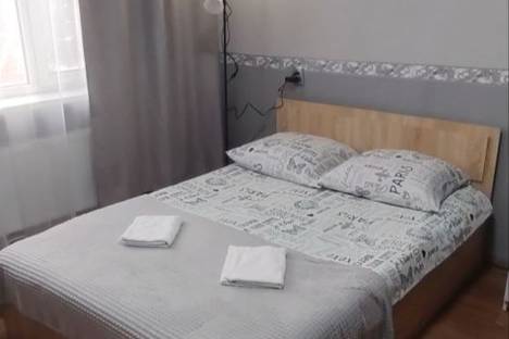 Двухкомнатная квартира в аренду посуточно в Туле по адресу ул. Максима Горького, 11