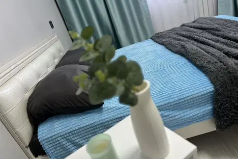 1-комнатная квартира в Благовещенске, ул. Ломоносова, 197