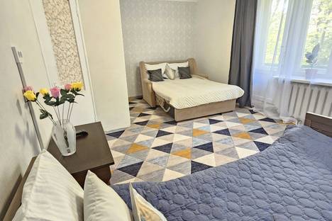 Однокомнатная квартира в аренду посуточно в Сестрорецке по адресу Приморское ш., 326