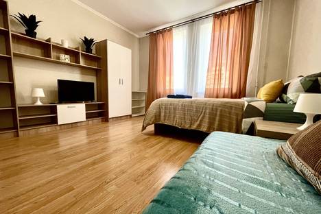 1-комнатная квартира в Железнодорожном, ул. Маяковского, 26