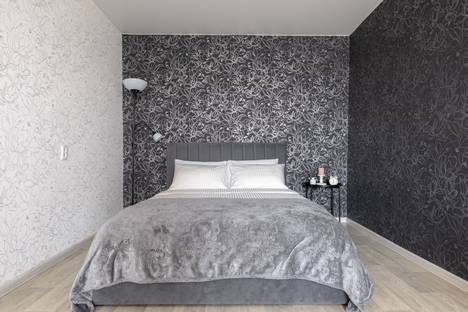 Однокомнатная квартира в аренду посуточно в Казани по адресу пр-кт Ямашева, 9