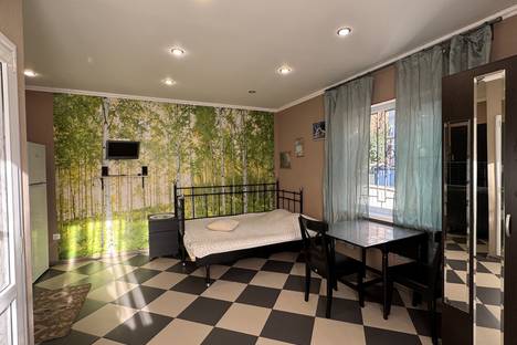 1-комнатная квартира в Сочи, Сочи, Комсомольская ул., 4