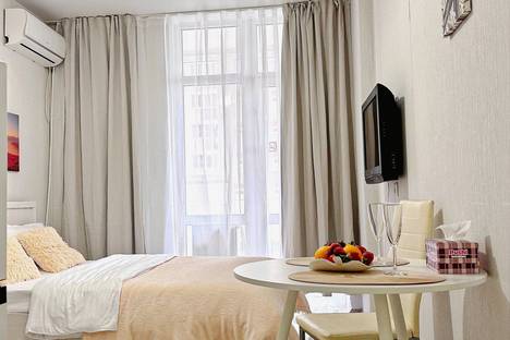 1-комнатная квартира в Краснодаре, Степная ул., 1/1