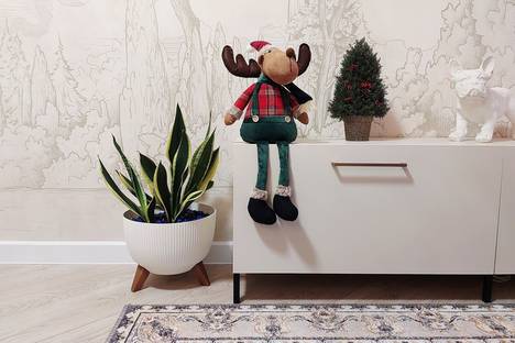 1-комнатная квартира в Калининграде, Калининград, ул. Профессора Севастьянова, 15