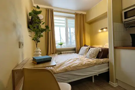 1-комнатная квартира в Санкт-Петербурге, Светлановский пр-кт, 48/19