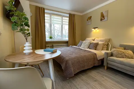 1-комнатная квартира в Санкт-Петербурге, Светлановский пр-кт, 48/19