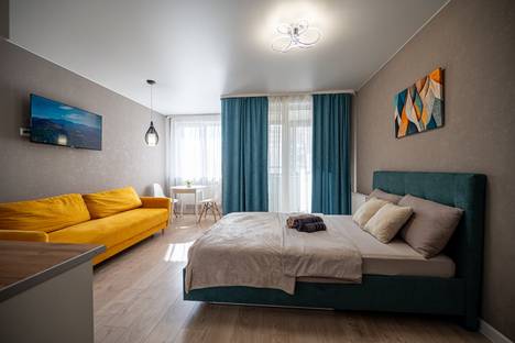 1-комнатная квартира в Ижевске, Ижевск, ул. Холмогорова, 17А