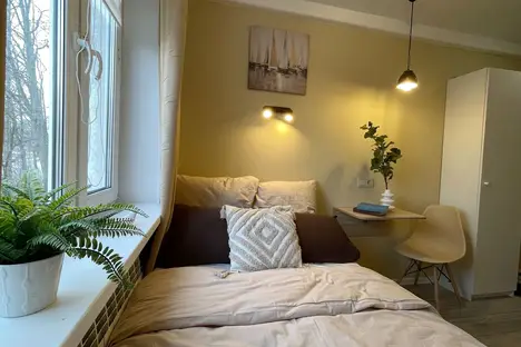 1-комнатная квартира в Санкт-Петербурге, Светлановский пр-кт, 48/19