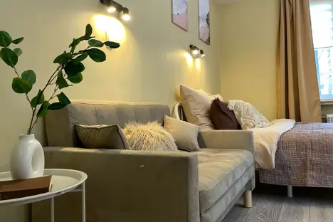 1-комнатная квартира в Санкт-Петербурге, Светлановский пр-кт, 48/19