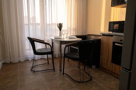 1-комнатная квартира в Воронеже, ул. 9 Января, 223И