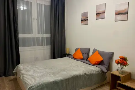 1-комнатная квартира в Домодедове, ул. Мезенцева, 23