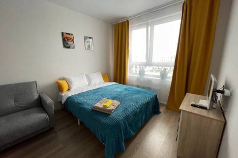 Однокомнатная квартира в аренду посуточно в Домодедове по адресу ул. Мезенцева, 13