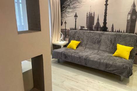 Однокомнатная квартира в аренду посуточно в Домодедове по адресу мкр. Западный, Рабочая ул., 49