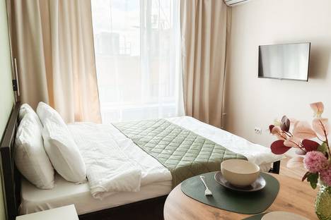 Однокомнатная квартира в аренду посуточно в Смоленске по адресу пр-д Маршала Конева, 32