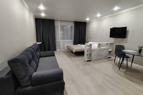 1-комнатная квартира в Новосибирске, ул. Николая Сотникова, 3