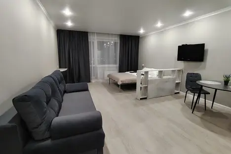 1-комнатная квартира в Новосибирске, ул. Николая Сотникова, 3