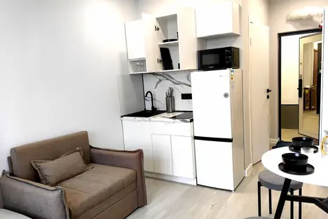 1-комнатная квартира в Москве, Берёзовая ал., 19к6