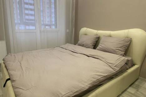 Однокомнатная квартира в аренду посуточно в Владимире по адресу ул. Лакина, 2А