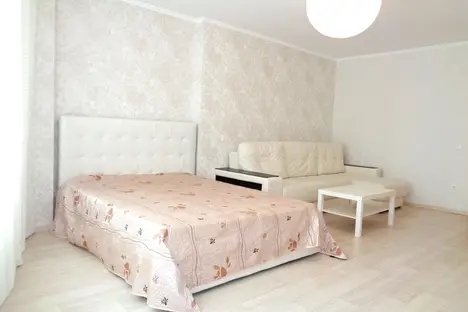 1-комнатная квартира в Красноярске, Красноярск, ул. Авиаторов, 42